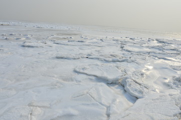 On winter sea ice