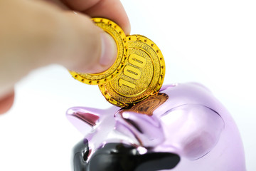 Hand Holding A Purple Piggy bank money  with gold coins.