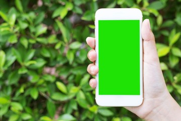 Woman hand shows mobile smartphone with green screen in garden. Mock up mobile.