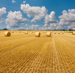 Yellow golden straw bales of hay in the stubble field, summer landscape under a blue sky with clouds