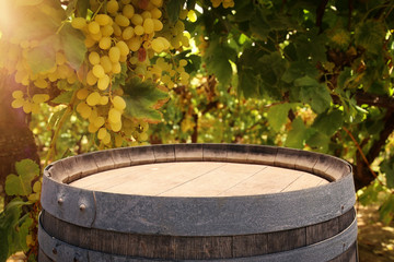 Image of old oak wine barrel in front of wine yard landscape. Useful for product display montage.