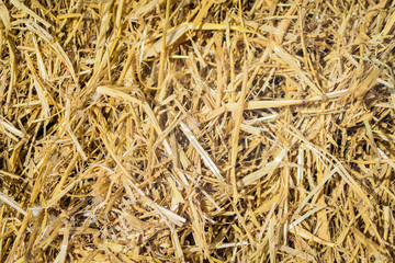 hay background texture