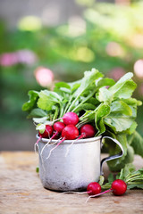 Radish in a metal cup