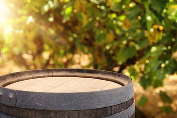 Image of old oak wine barrel in front of wine yard landscape. Useful for product display montage.