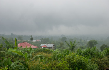 Fototapeta na wymiar A rain shower in Ubud, Bali