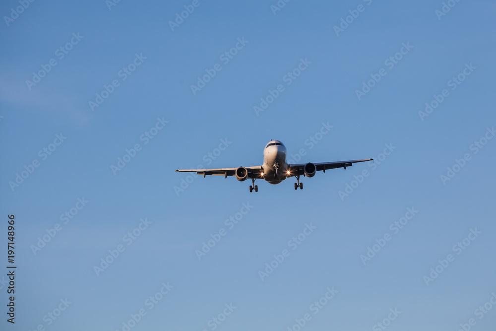 Wall mural flying over plane