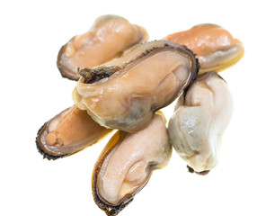 cooked mussels on a white background