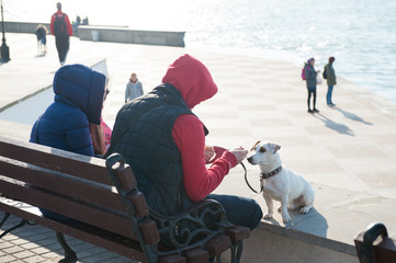 family people in jackets and hoods sit on the seashore in town with pet white dog in early spring