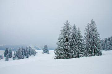 Verschneite Winterlandschaft