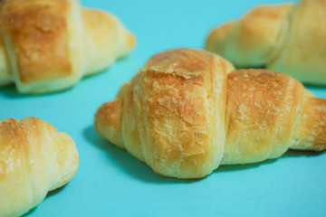 Bread, croissant. パン、クロワッサン　水色背景