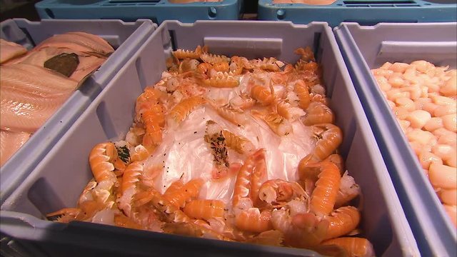 Close up of a box of prawn on ice in a seafood market.