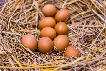 Chicken eggs on a straw.
