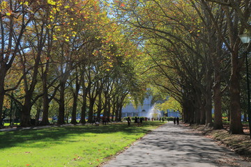 Obraz premium Carlton Gardens Autumn Melbourne Australia