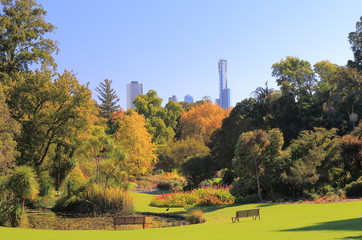 Botanic Gardens cityscape Melbourne Australia - 197165102