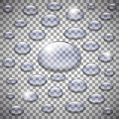 drops of water on a transparent background