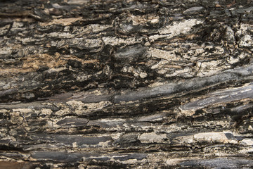 Wood texture wallpaper 