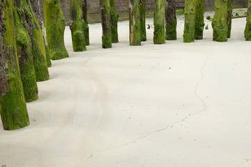 port wooden pillars in sand on the beach