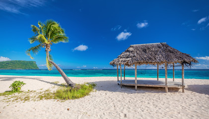 Tropical natural beach on Samoa Island with palm tree and fale, Upolu