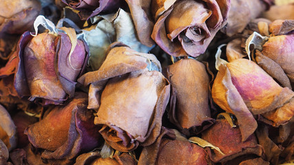 Closeup Shot at A Group of Dried Natural Roses (Selective Focus) for Background, Backdrop, or Wallpaper.  This is the Symbol of Broken Heart, Dying, Grief, Sorrow, Sadness or Other Bad Emotions.