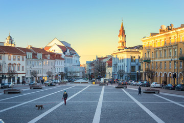 Vilnius Town Hall Square - obrazy, fototapety, plakaty