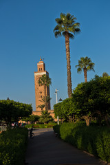Fototapeta premium Public garden with palm trees in front of Koutoubia mosque at sunset, Marrakech, Morocco, North Africa