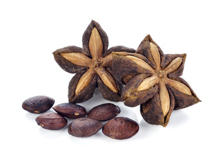 seed of sacha inchi,sacha mani or star inca peas on white background