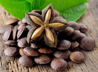 dried capsule seeds fruit of sacha-Inchi peanut on wooden