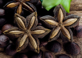 dried capsule seeds fruit of sacha-Inchi peanut on wooden