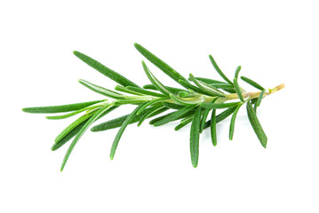 Fototapeta premium rosemary isolated on white background