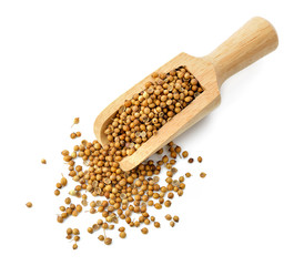 Coriander seeds isolated on white background