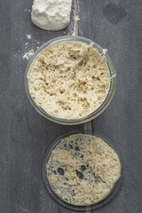 Lievito Madre, Weizensauer