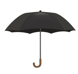 black umbrella