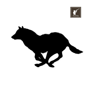 Black silhouette of running wolf on white background. Forest animals. Detailed isolated image. Vector illustration
