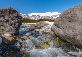rocks in the snow