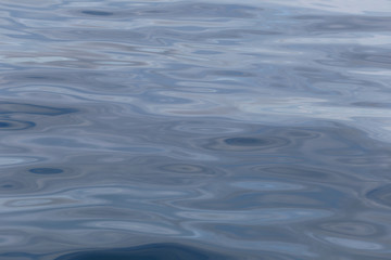 Sea surface background and have ripple wave.