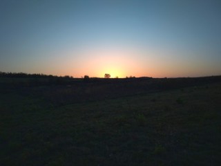 sunset on the field