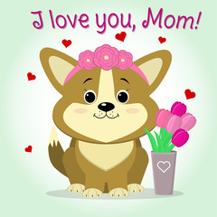 Puppy Corgi sits next to a vase with pink tulips, cartoon style. Congratulations. Happy Mother's Day.