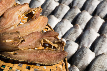 Dried Raw Salted Fish in a Tray, Row of Dried fishs Under The Sun