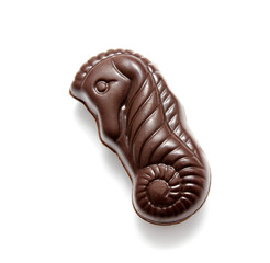 Chocolate candy sweet isolated on a white
