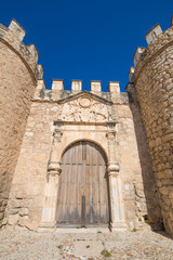 Fototapeta na wymiar ancient door of old city exterior wall of Penaranda de Duero village, landmark and public monument from fifteenth century, in Burgos, Castile and Leon, Spain, Europe 