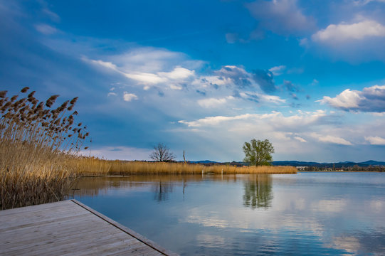 early spring at lake Greifensee / Switzerland