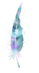 blue beautiful feather, watercolor