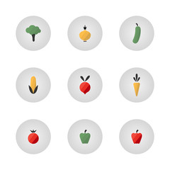 Vegetables_icons