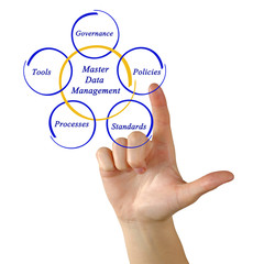 Master Data Management