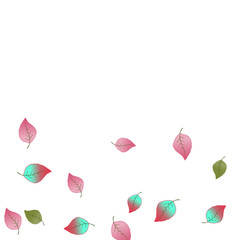 Cute  Pattern with Leaves for Greeting Card or Poster. Vector Background for Spring or Summer Design.
