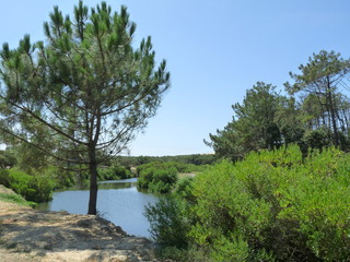 lac souston, landes