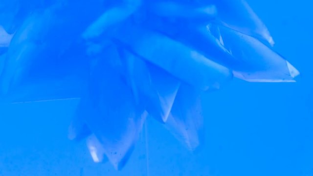 growth of copper sulphate crystal