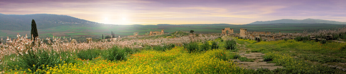 Volubilis, Roman city of antiquity in Morocco