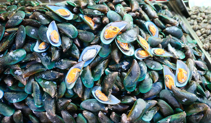 Fresh raw mussels