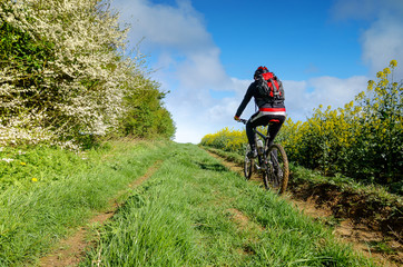 Naklejka premium magnifique décors pour faire du vtt